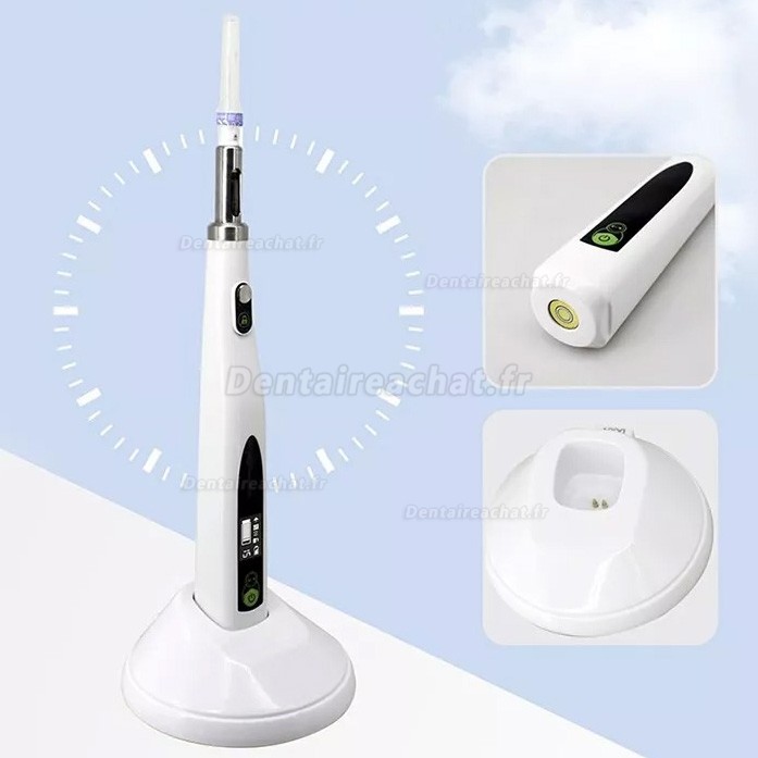 Seringue anesthésie dentaire, Seringue d'injection anesthésie électronique sans fil LY LY-Z600